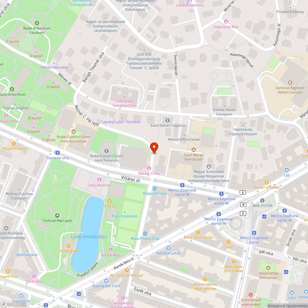 Kidöntött, kiszáradt facsemeték bejelentés helye