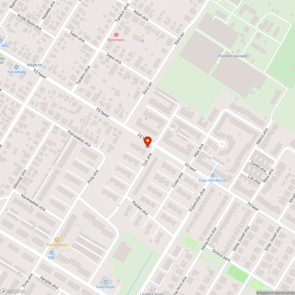 Elpusztult macska bejelentés helye