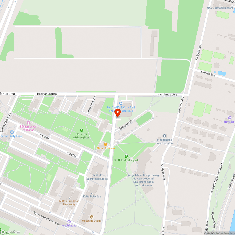 Kapubeállóban állnak elég gyakran bejelentés helye