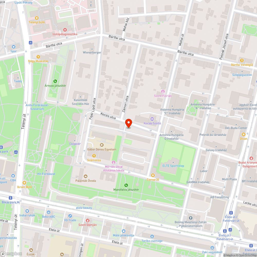 Szétszórt nagyméretű szemét az utcán bejelentés helye