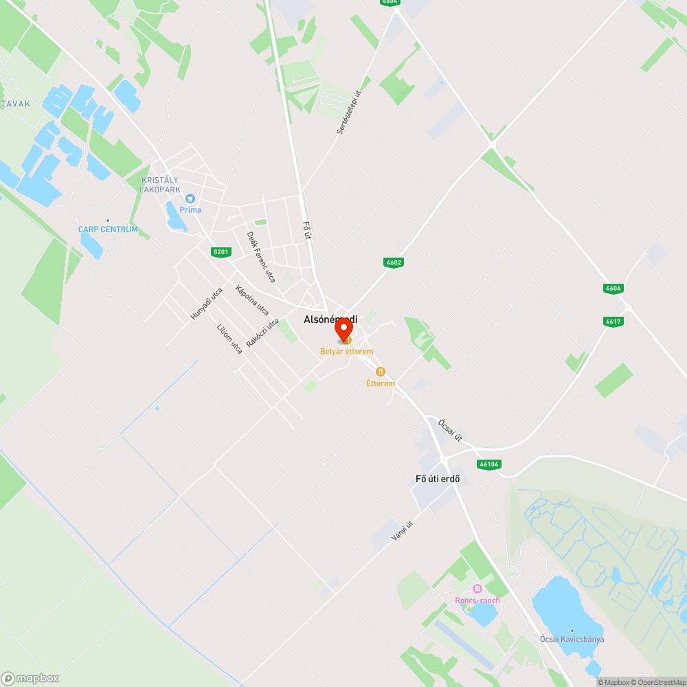 Megsüllyedt kuka bejelentés helye