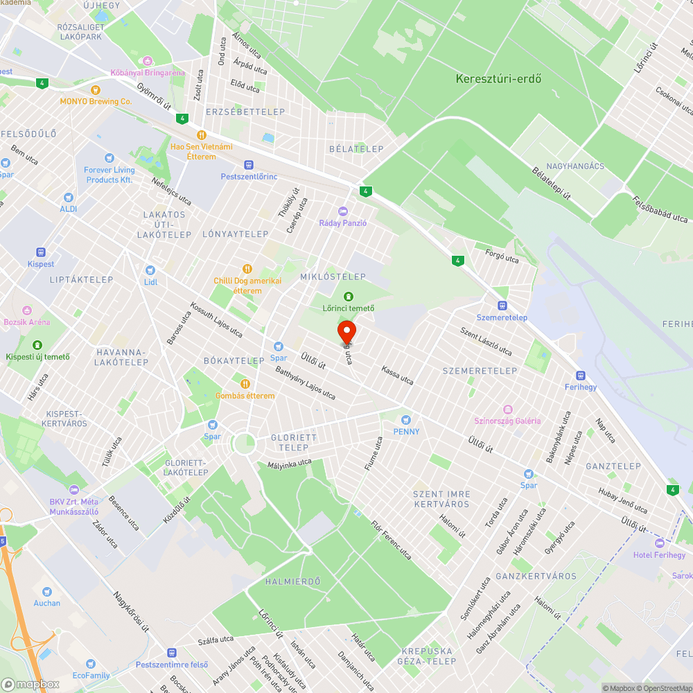 Elpusztult macska a gyalogátjárónál bejelentés helye