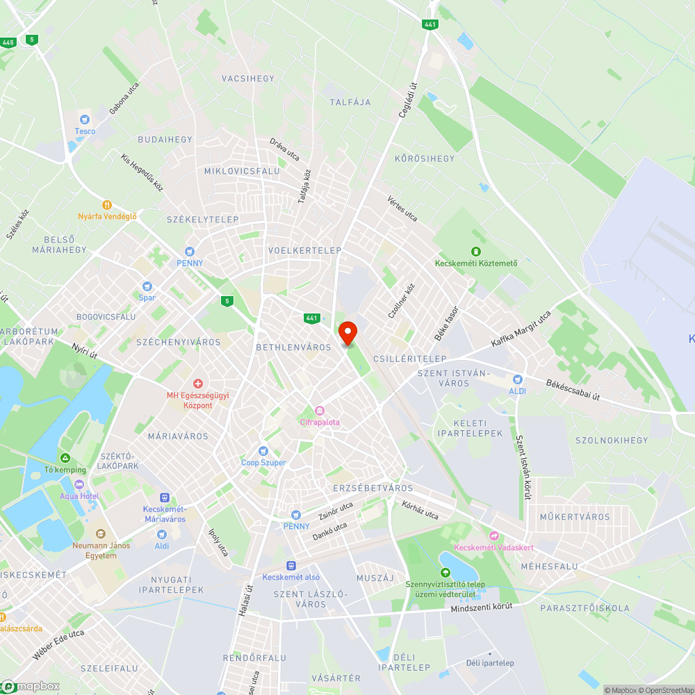 Kiszáradt fa a Vasútkert szélén bejelentés helye