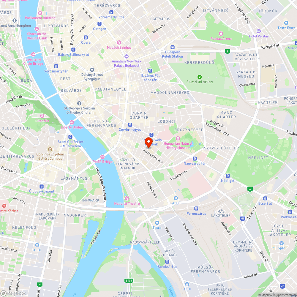 Közterületi szemét a Leövey Gimnázium előkertjében bejelentés helye