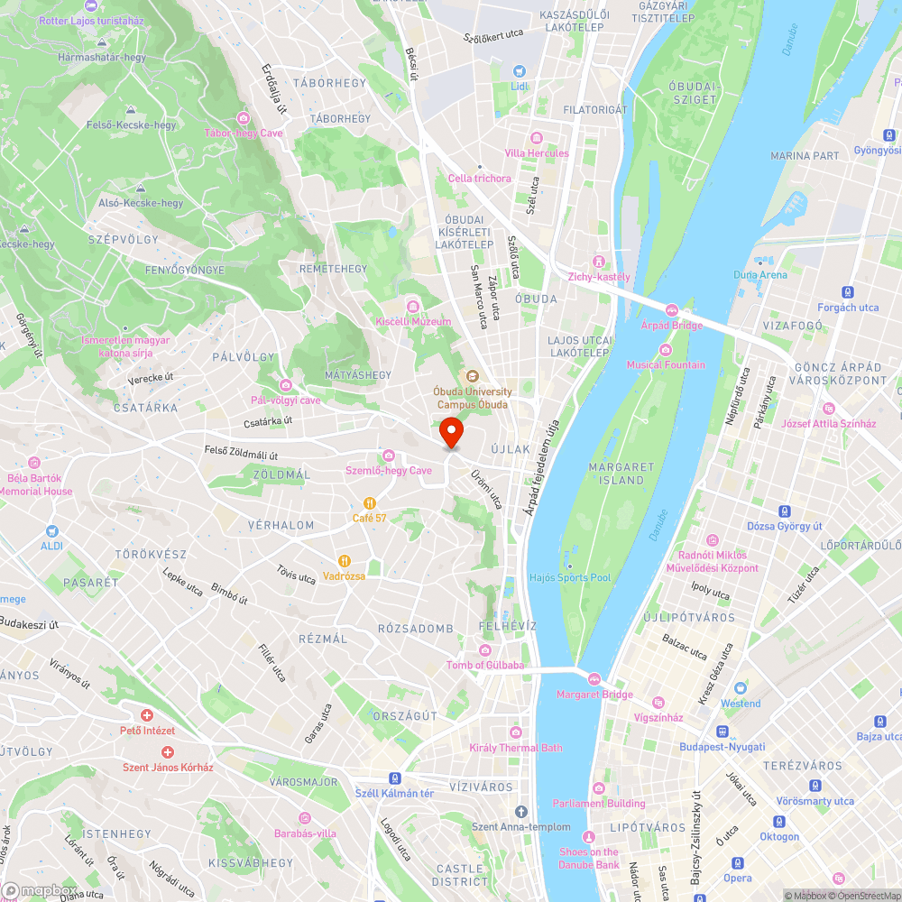 Lámpát takaró bokor bejelentés helye