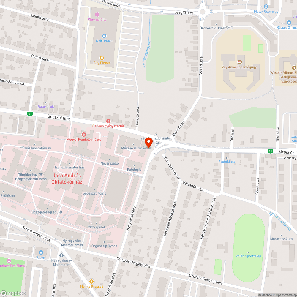 elszáradt fa bejelentés helye