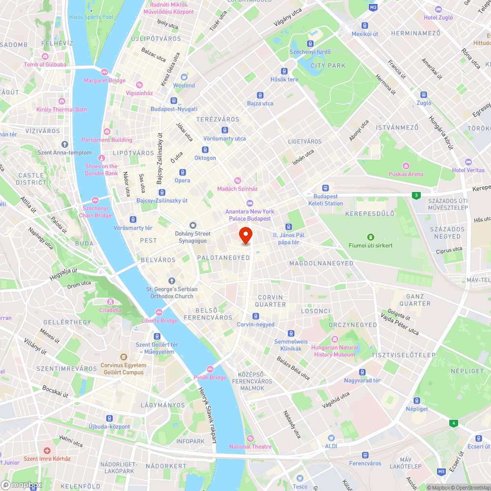 Kiszáradt facsemete - vad bálványfa bejelentés helye