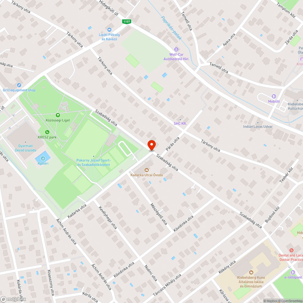 Rendezetlen zöldfelület bejelentés helye