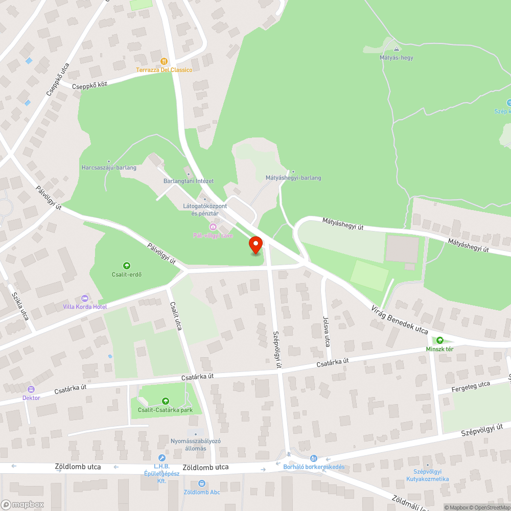 Belógó növényzet bejelentés helye