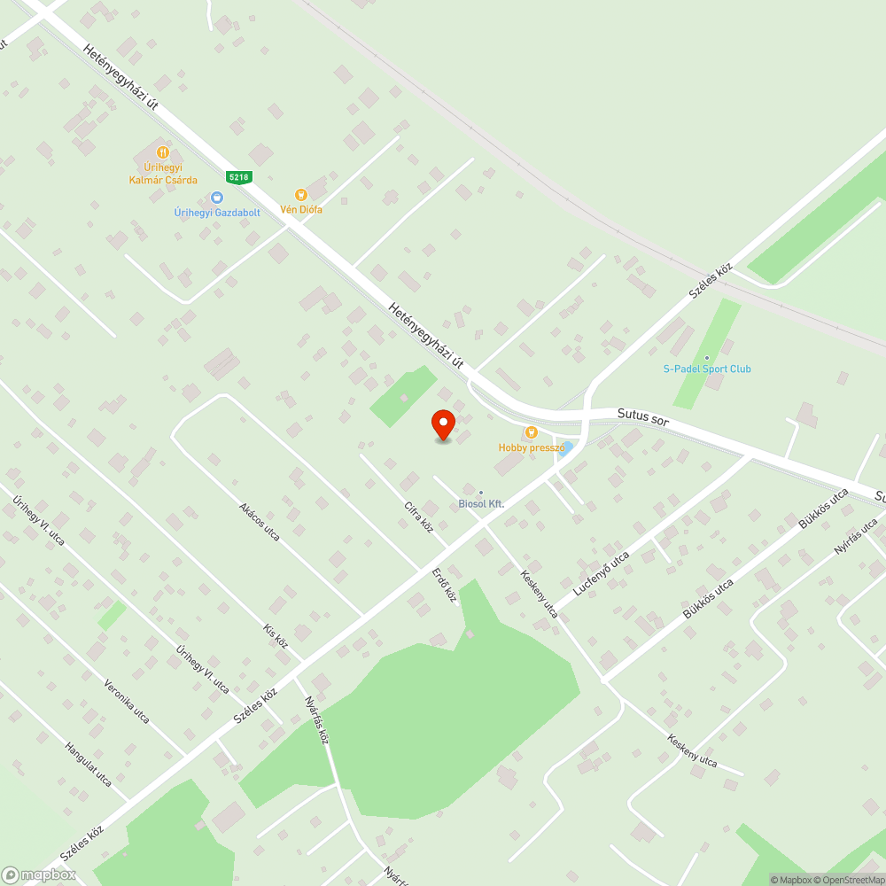 Kiszáradt megdőlt fa bejelentés helye