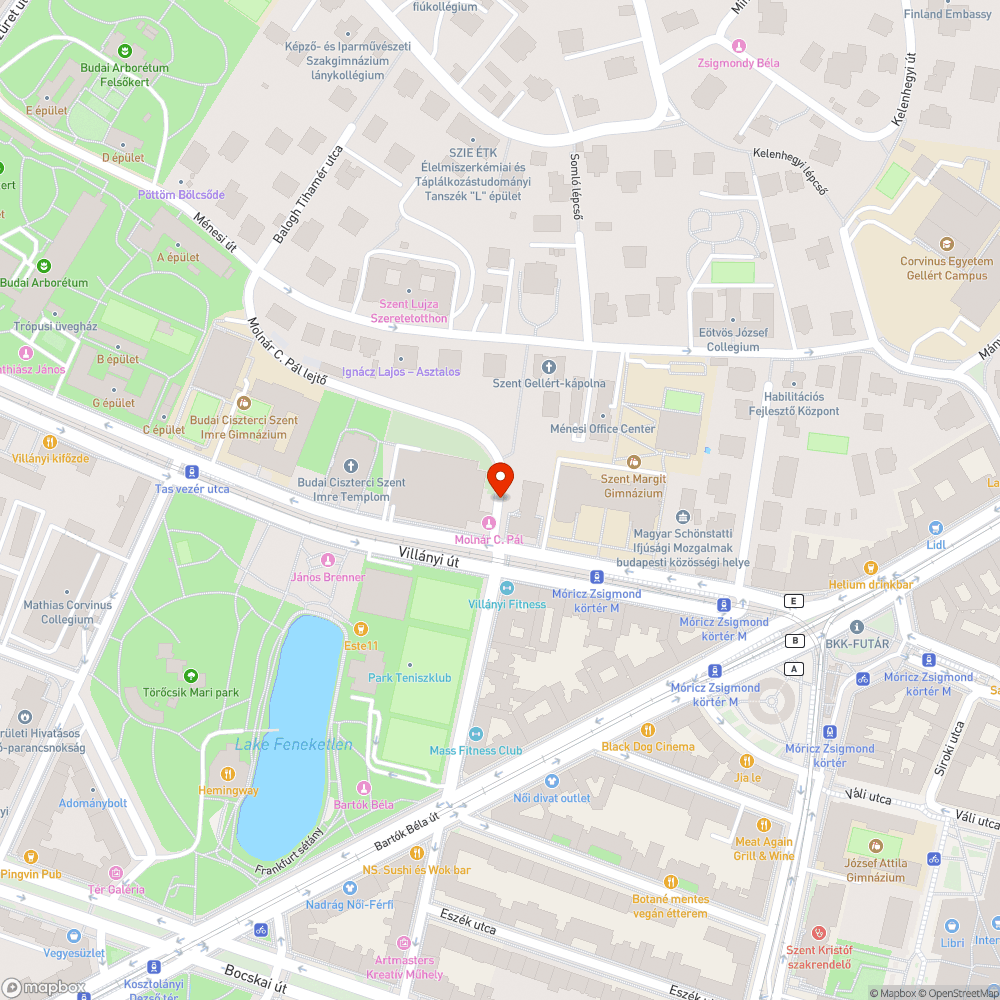 Elburjánzott zöld bokrok, a járdán alig lehet közlekedni bejelentés helye