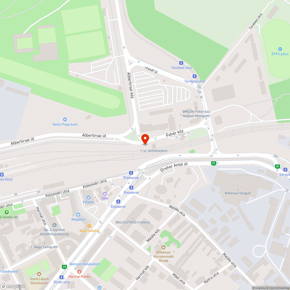 Hatalmas mennyiségű zöldhulladék és szemét bejelentés helye