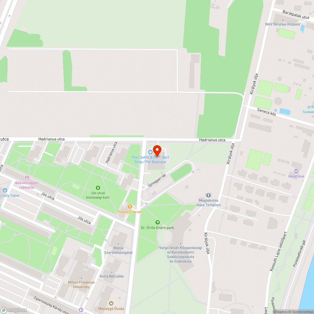 Halott fa bejelentés helye