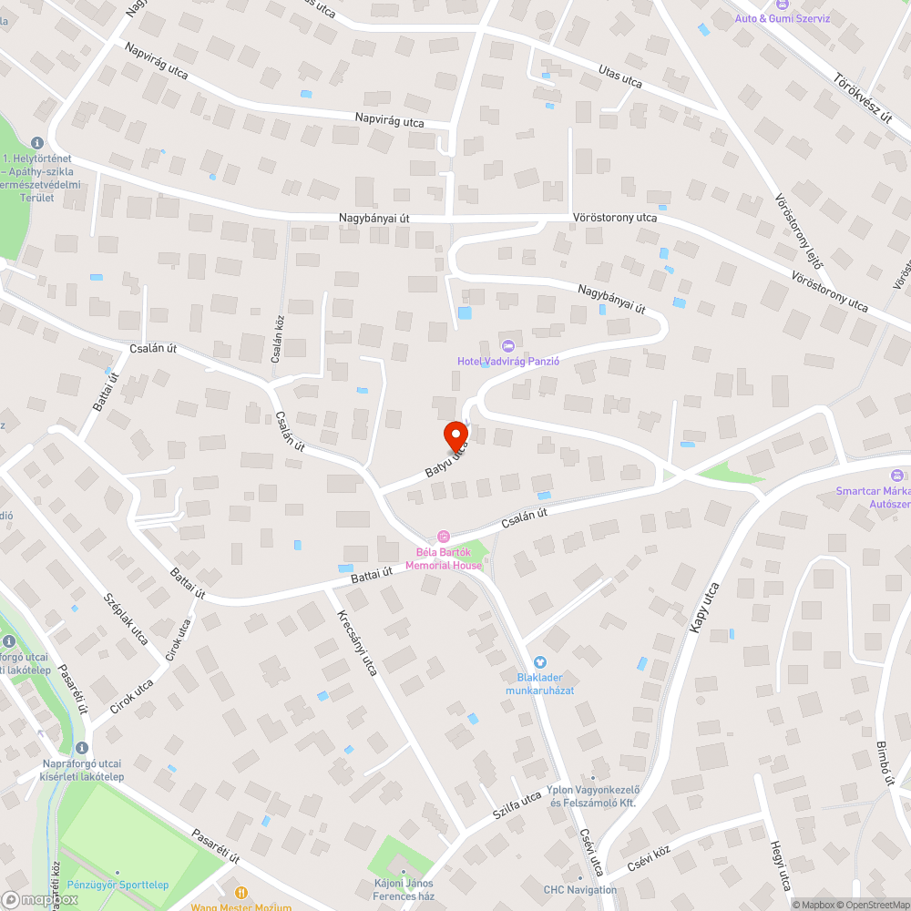 Növénnyel benőtt lámpa a Batyu utcában bejelentés helye