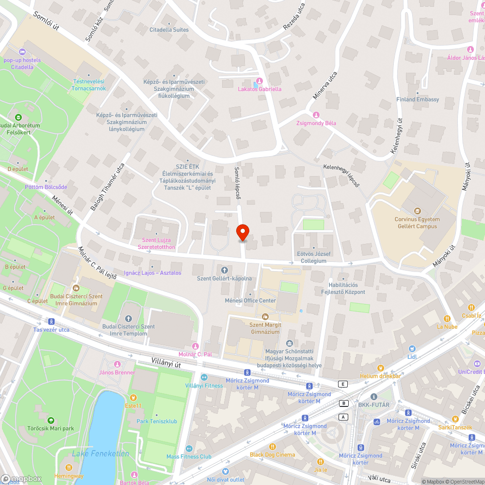 Járda hiánya, elburjánzott gaz bejelentés helye