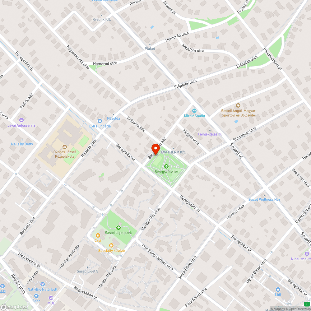 Beregszász tér futópályára lógó faágak bejelentés helye