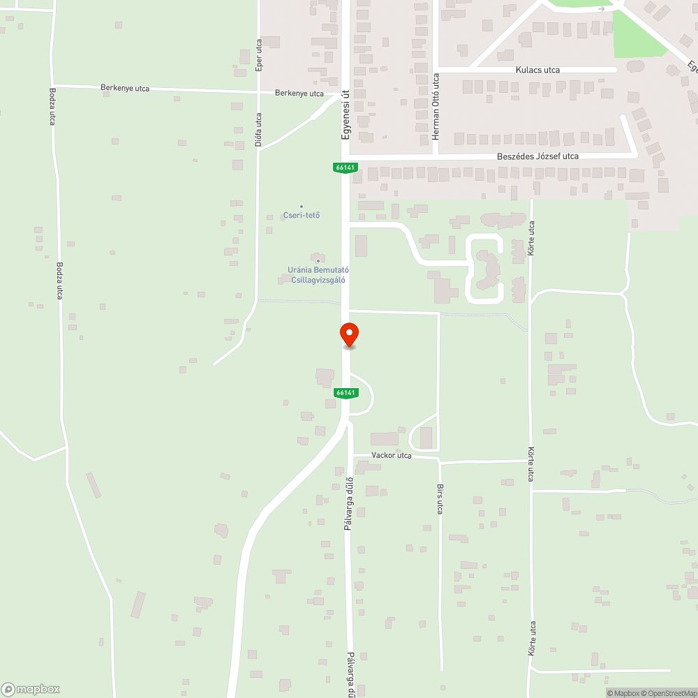 Gondozatlan bokrok melyek a járda körülbelül 60-70%-át eltakarja bejelentés helye