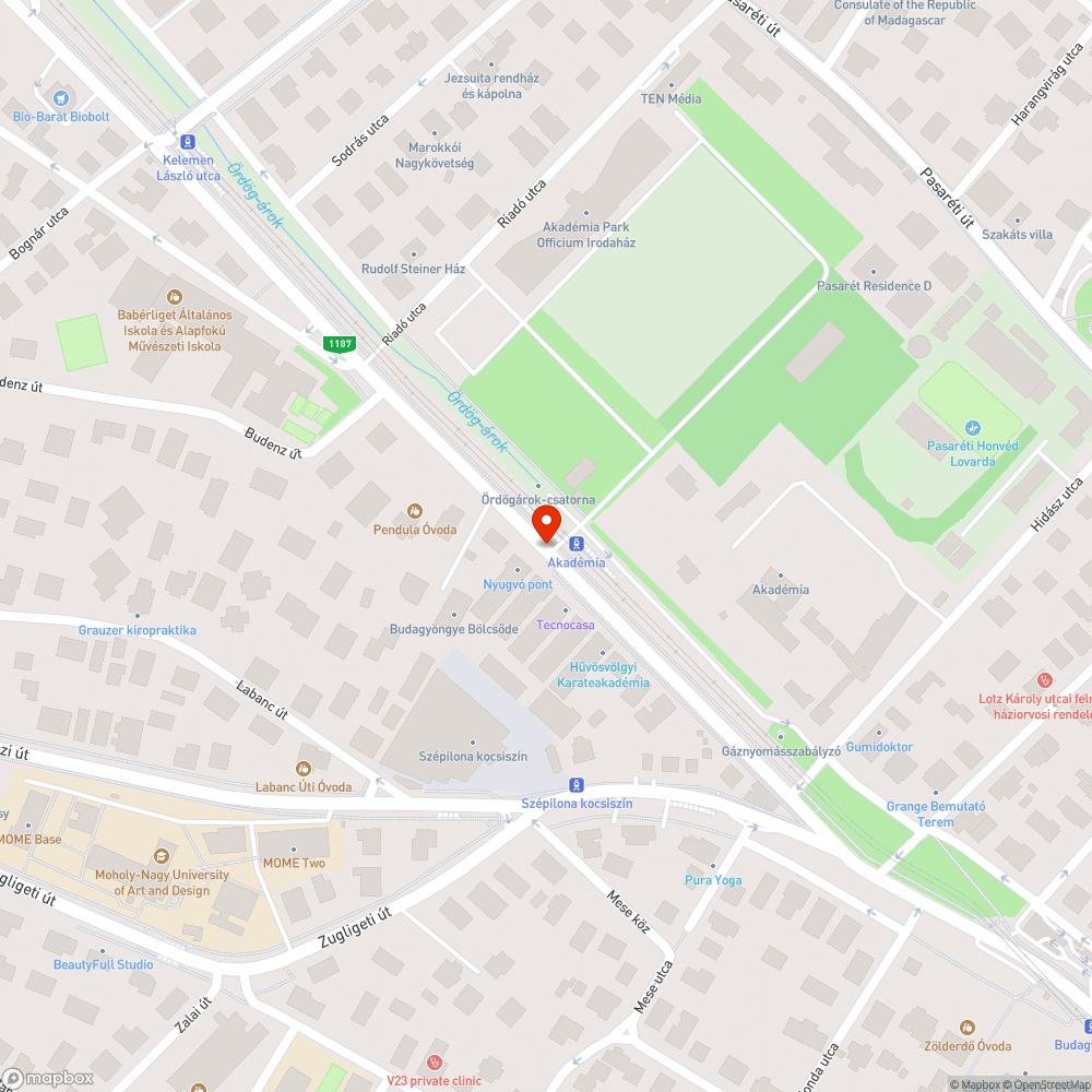 Ismét egy tönkretett zöldfelület a környéken bejelentés helye