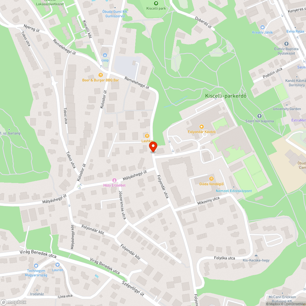 Két kátyú a Folyondár utcában bejelentés helye