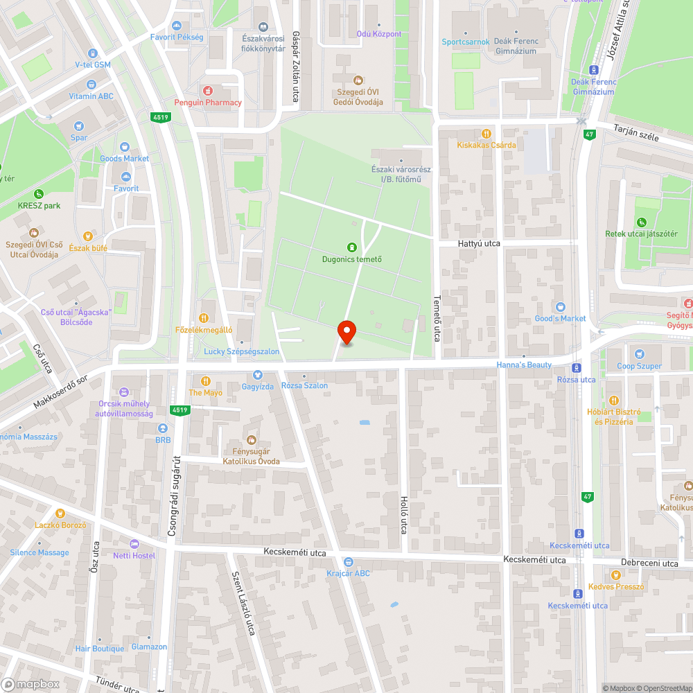 Törött tetejű szemetes - Rózsa utcai temető bejáratánál bejelentés helye