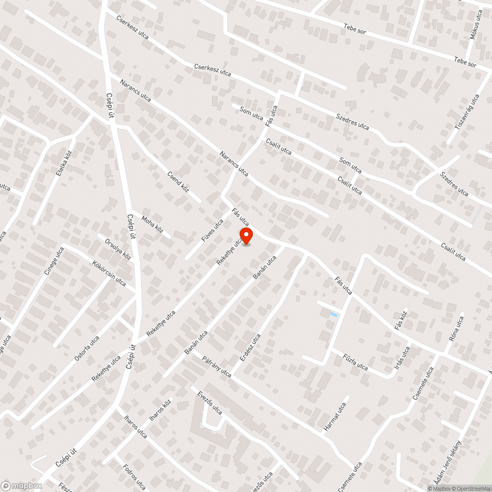 Január óta itt hagyott elszáradt fenyő bejelentés helye