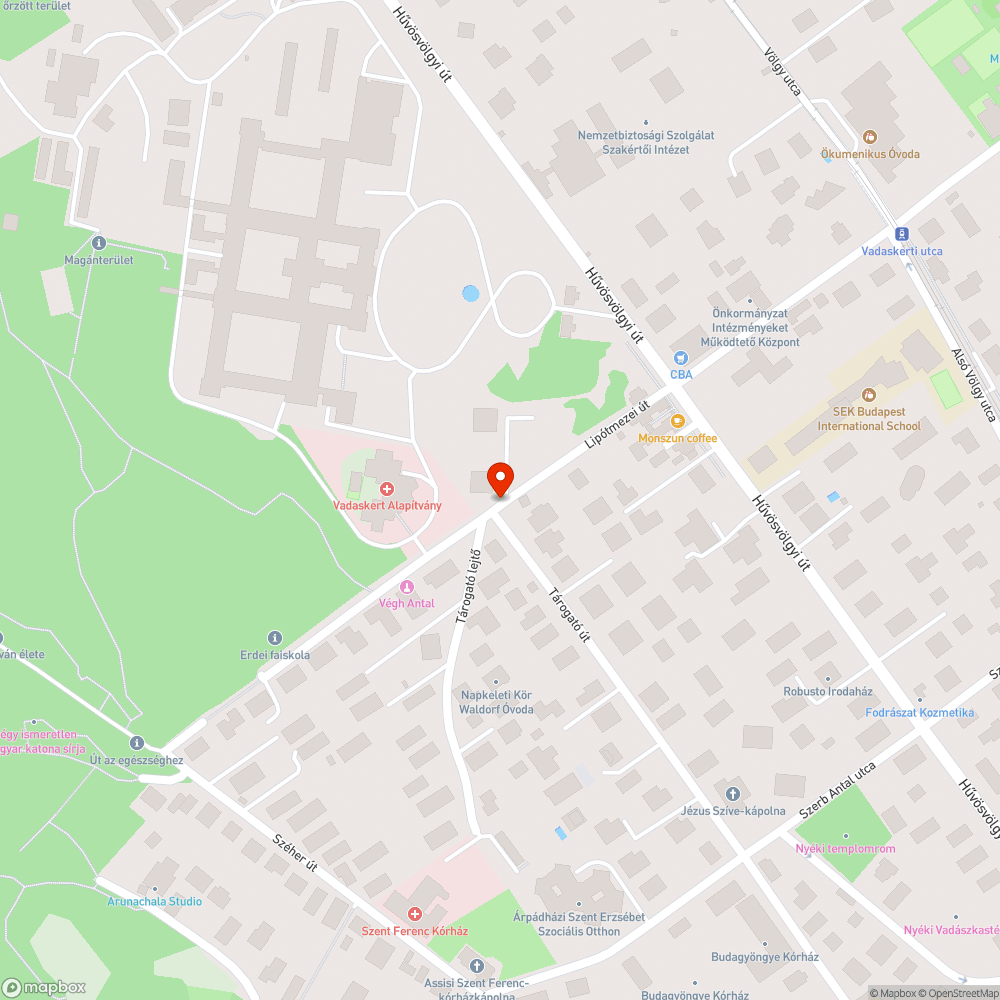 Folyik a tűzcsap bejelentés helye