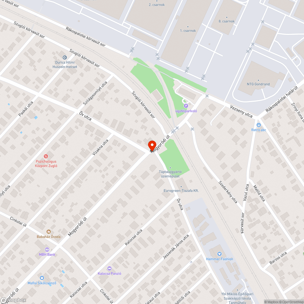 Elszáradt fa, teljesen elhanyagolt, elgazosodott terület bejelentés helye