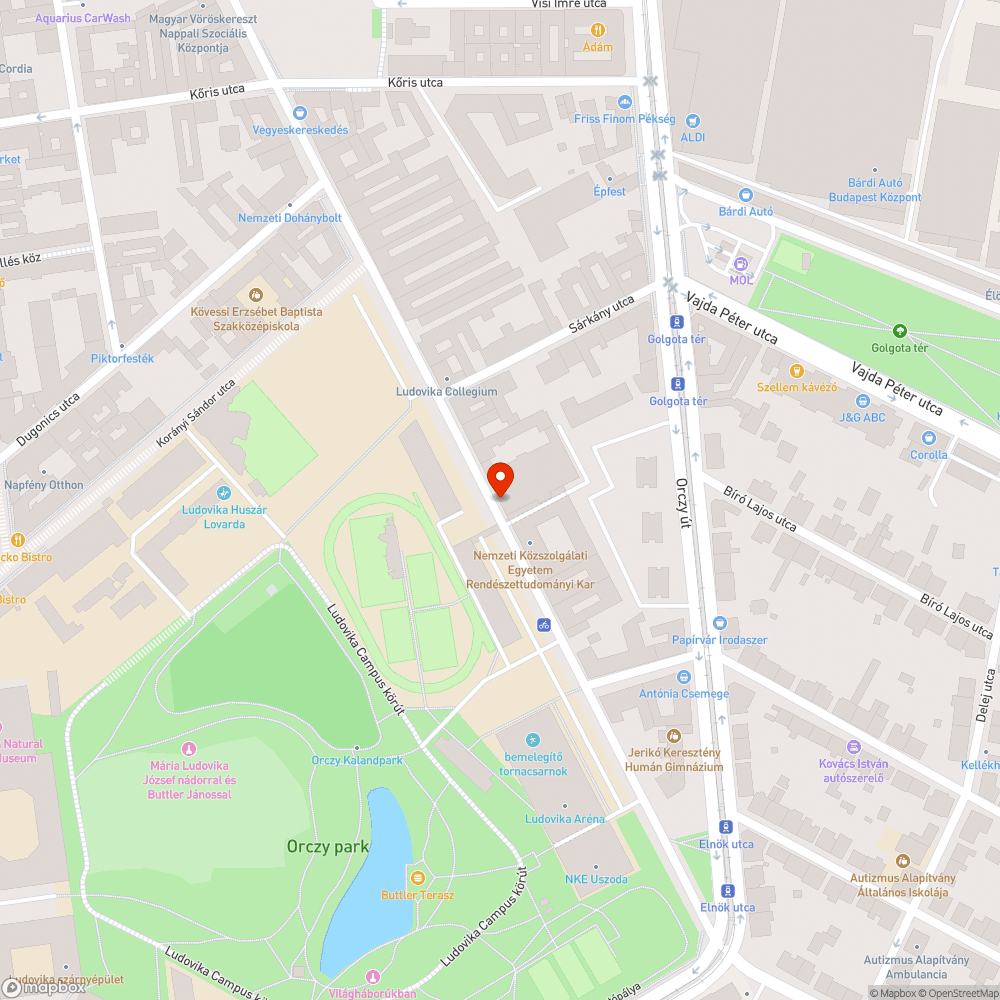 Ismét sok kutyaürülék a Diószegi utcán bejelentés helye