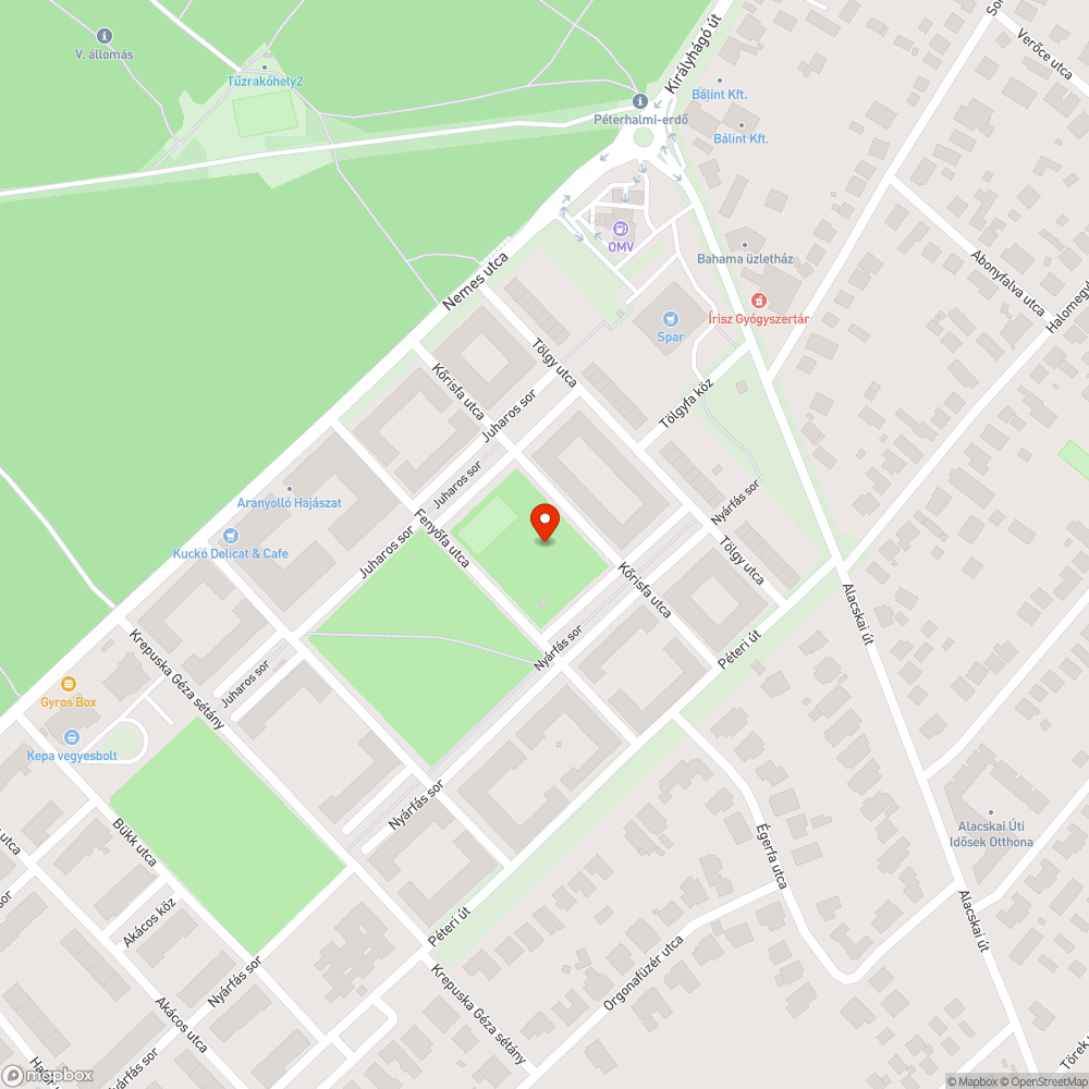 Veszélyes járda a játszótéren bejelentés helye