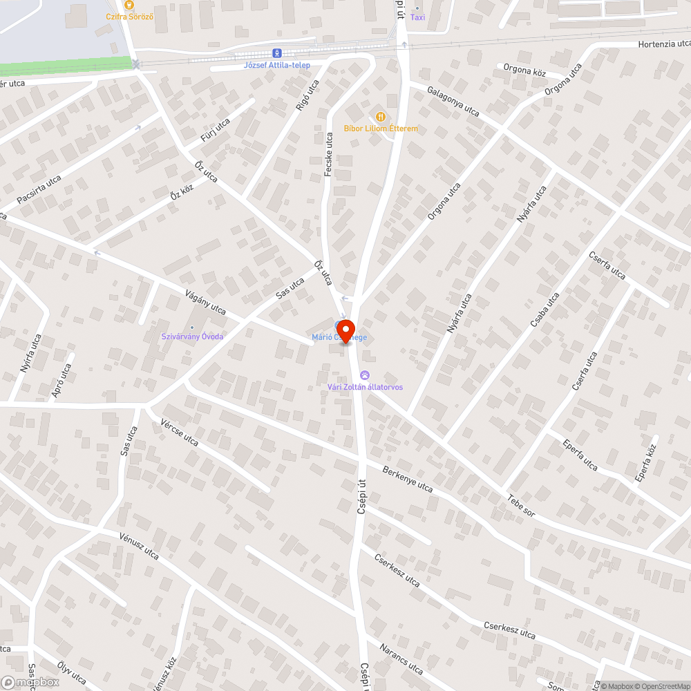 Elhanyagolt árok bejelentés helye