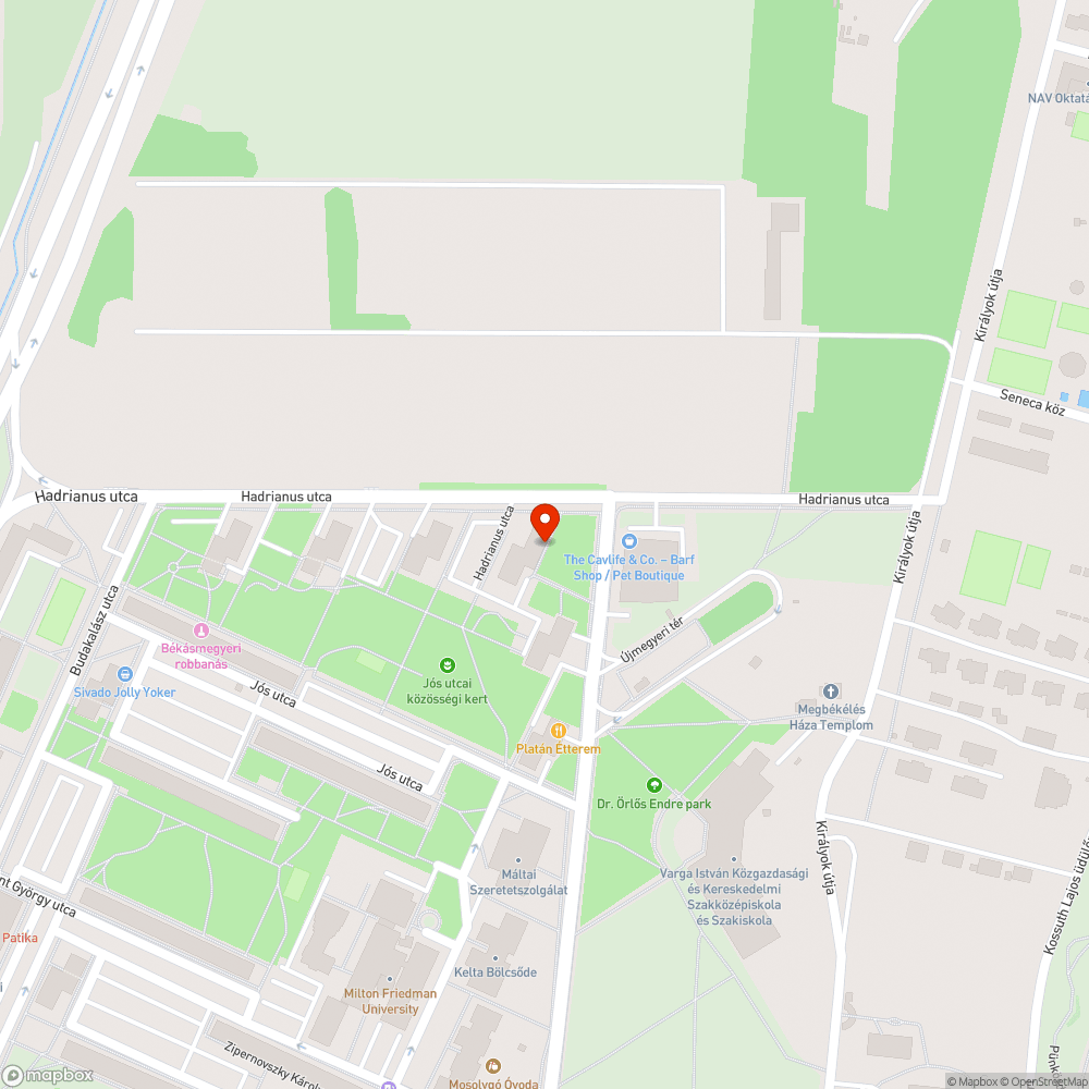 Leszakadt a szemetes bejelentés helye