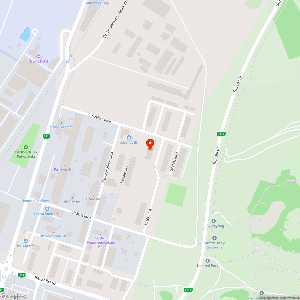 Anna Gedeon bejelentés helye