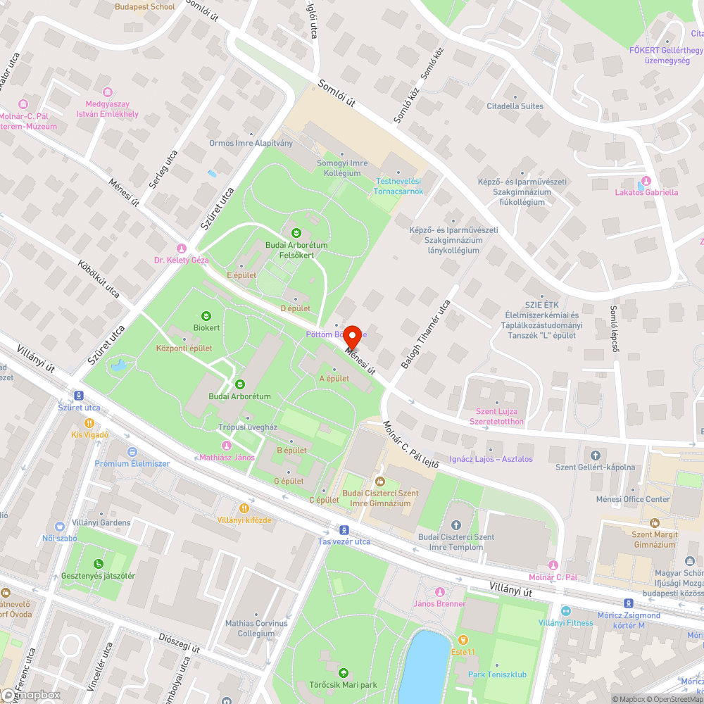 terjeng a bűz a szemetes körül, szétszórt szemét bejelentés helye