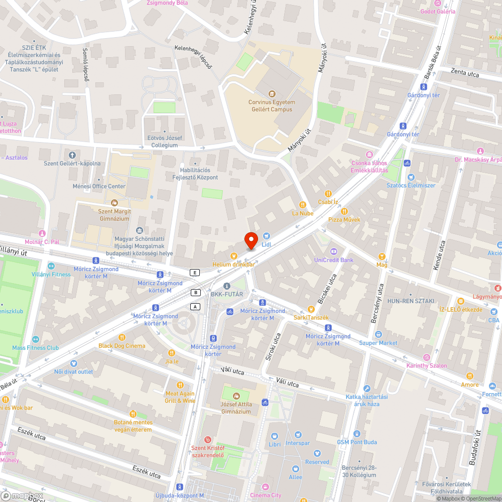 Környezetszennyezés a Móriczon bejelentés helye