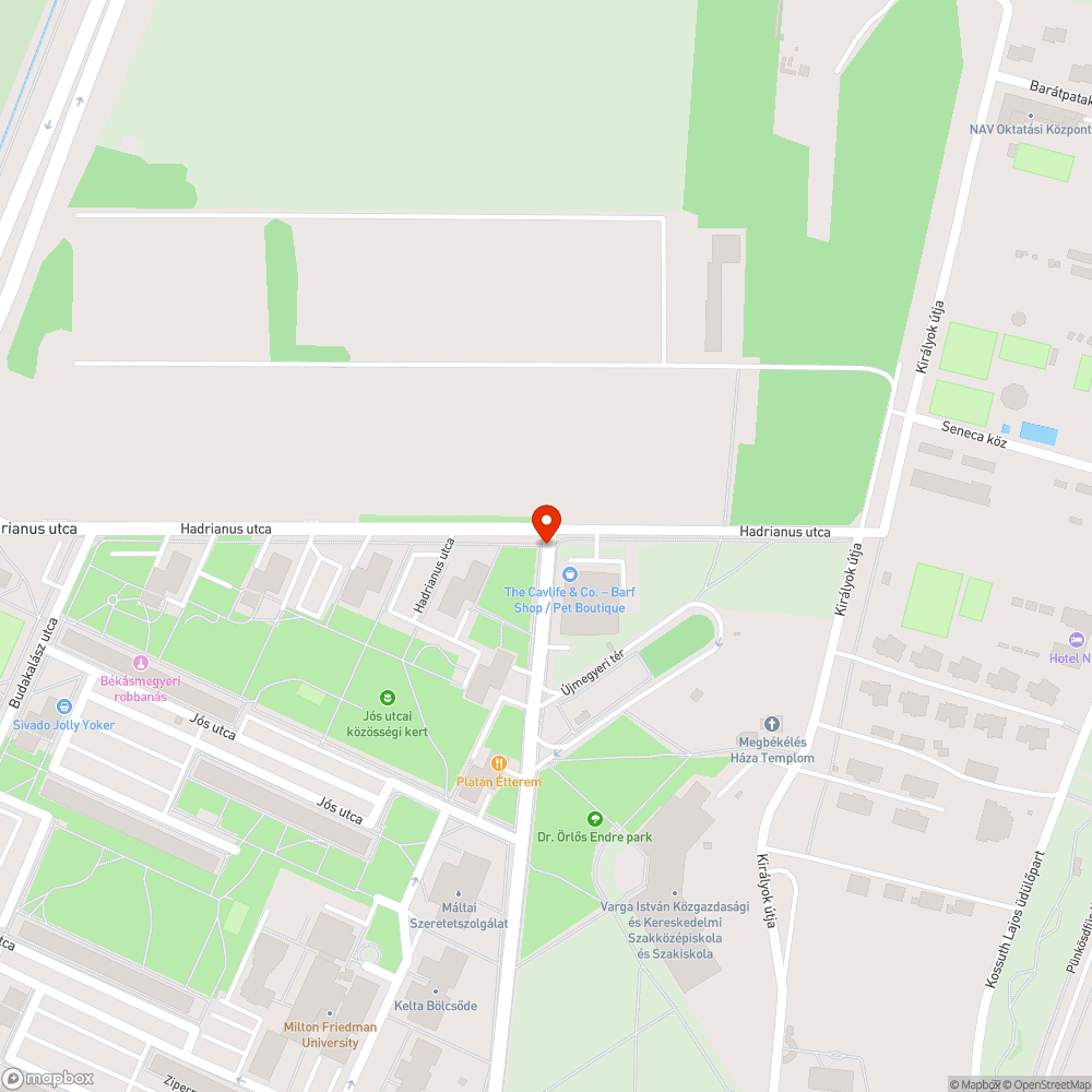 Lekopott felfestés bejelentés helye