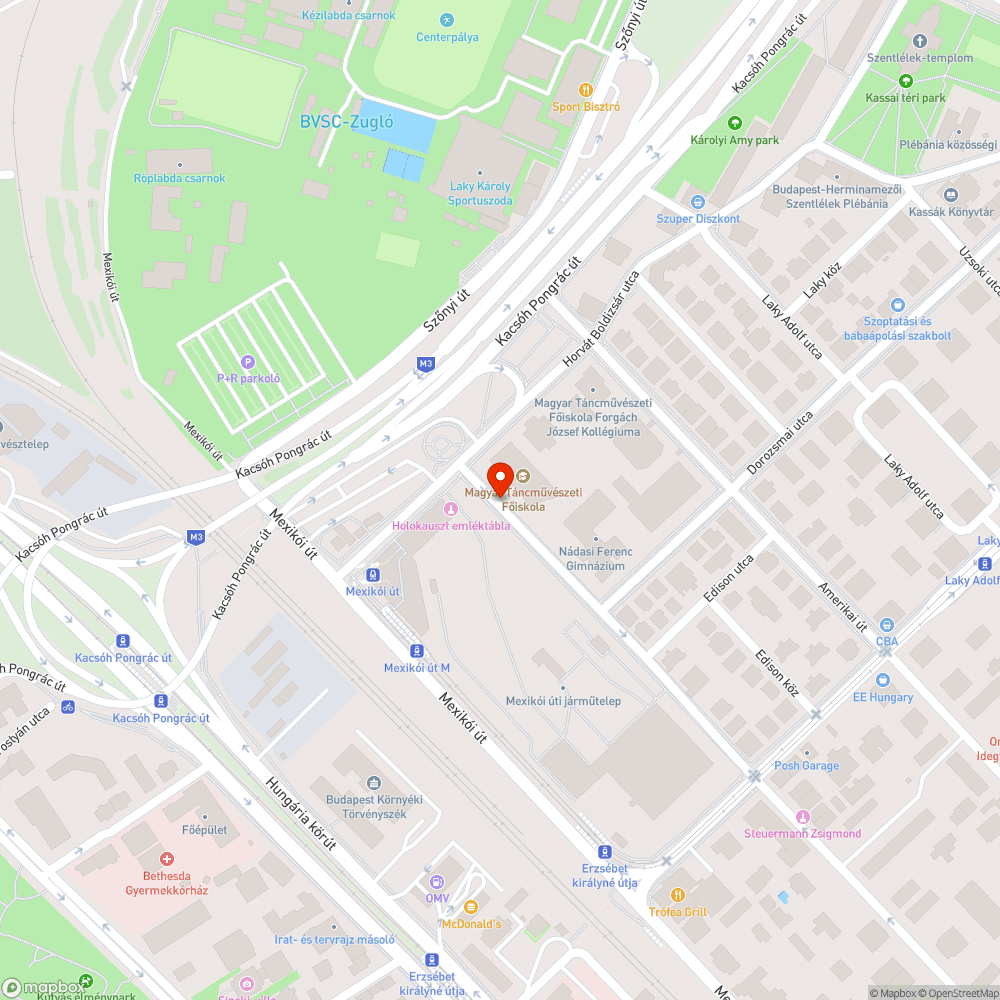 Villanyoszlop mellől kinövő fa bejelentés helye