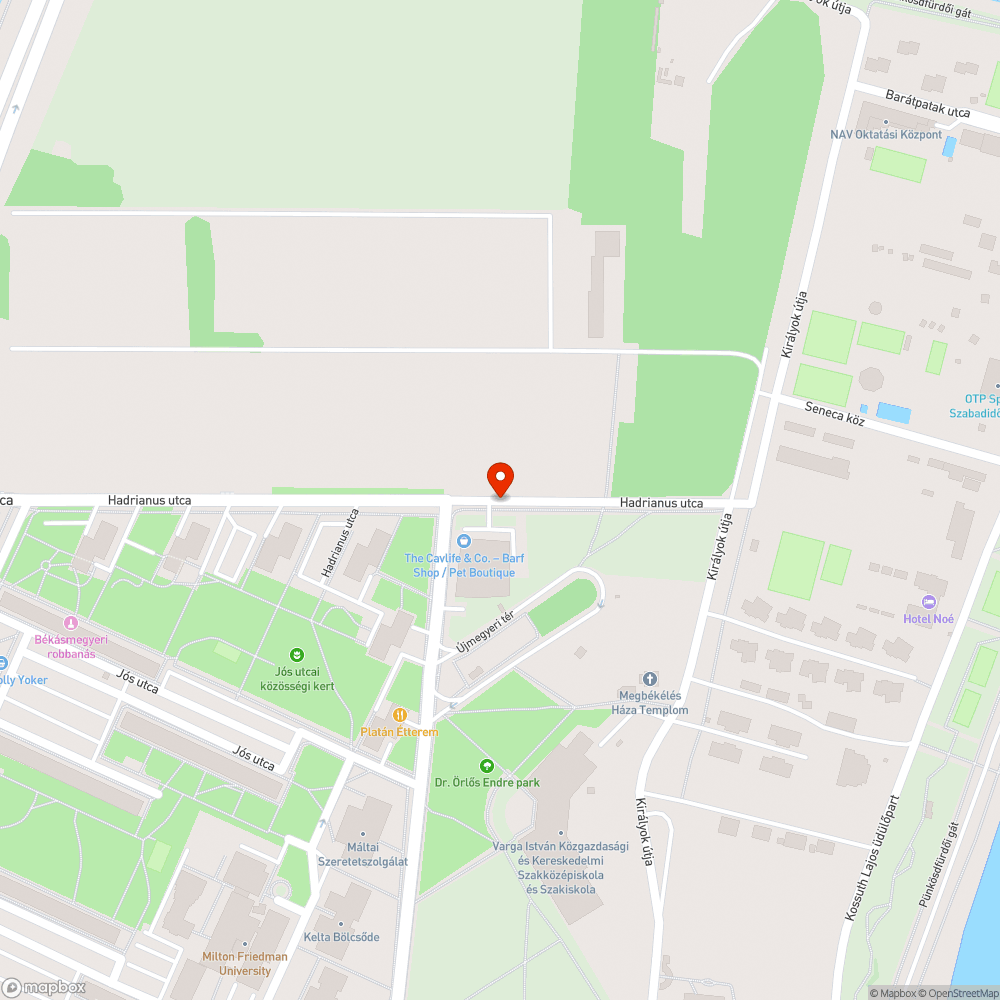 Halott fa bejelentés helye