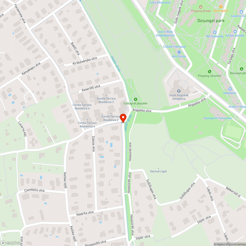 Járdára ránőtt elhatalmasodott növények bejelentés helye