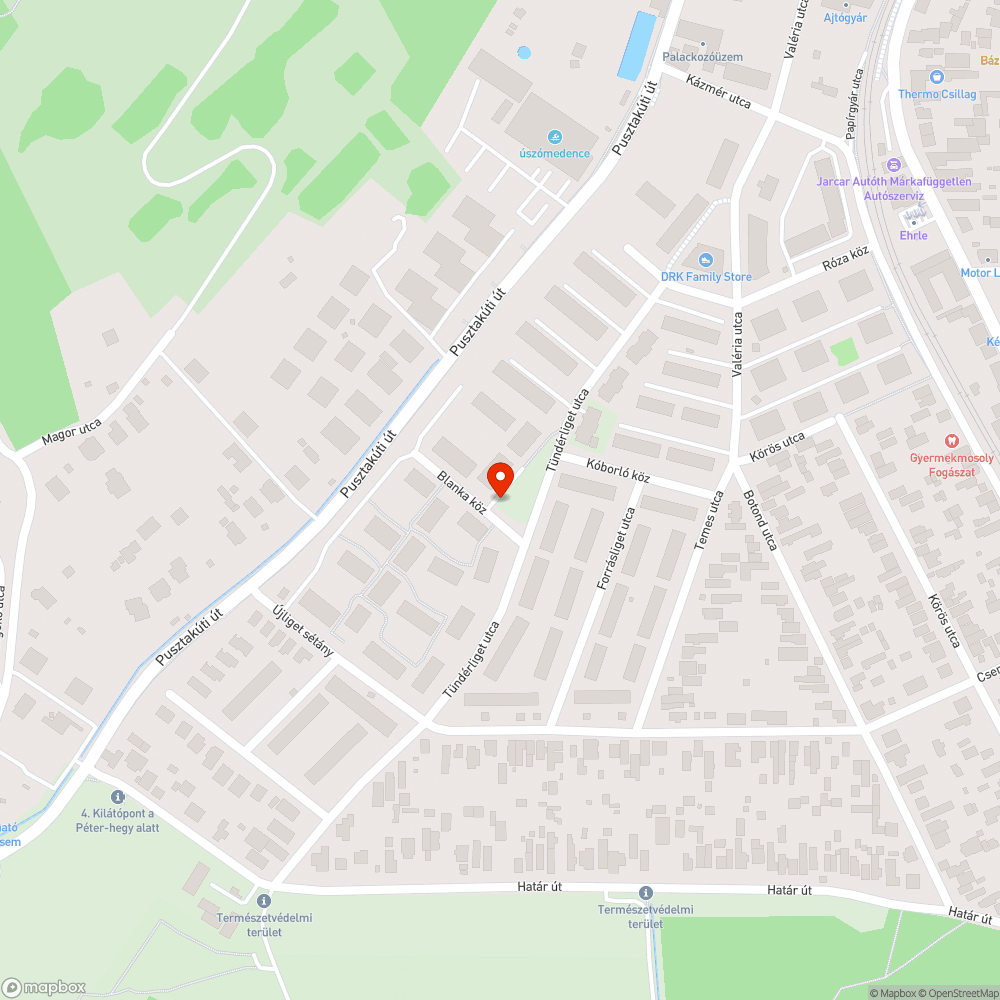 Gazdátlan autó bejelentés helye