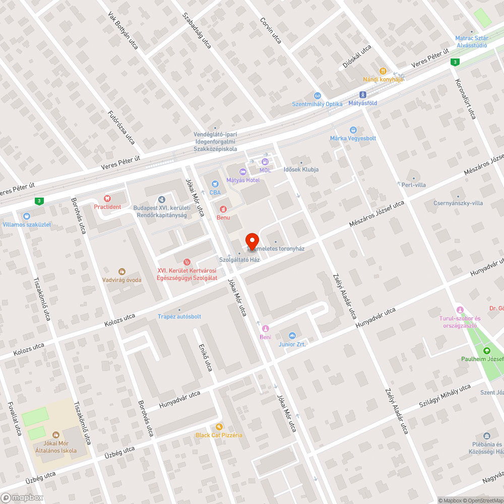 Tisztítást igénylő szobor bejelentés helye