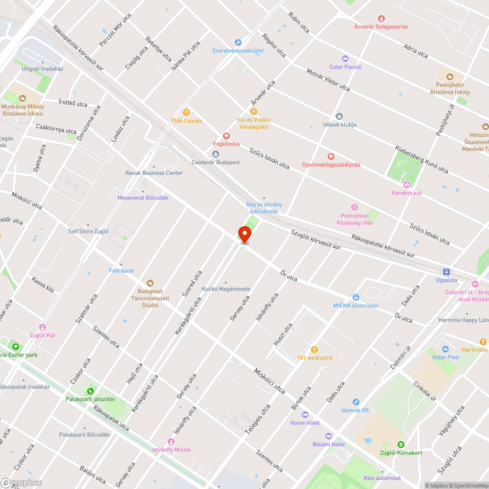 Elburjánzó gyomfa akadályozza a közlekedést bejelentés helye