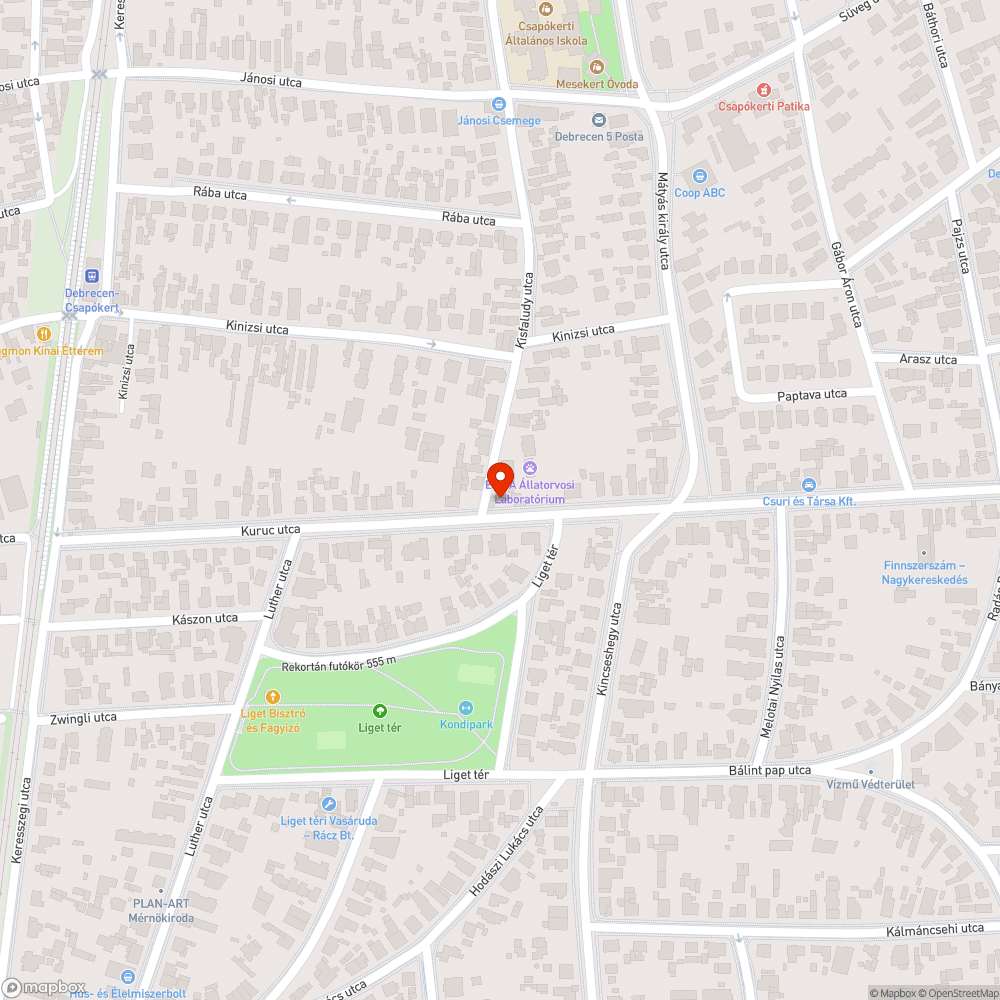 Megsüllyedt út bejelentés helye