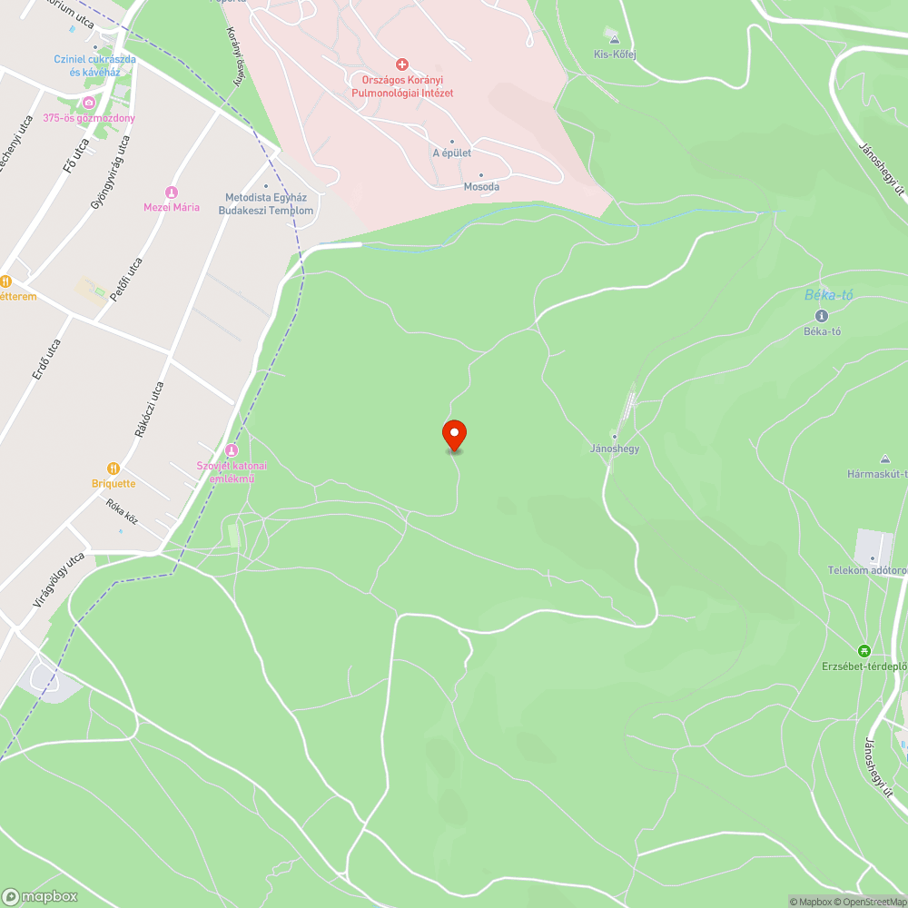 Kidőlt fa a sárgán bejelentés helye