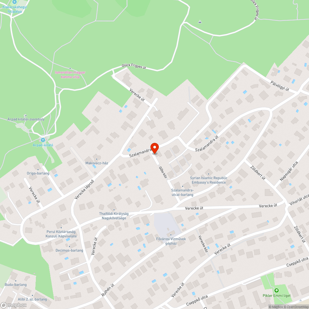 Közutat teljesen benőtte a növényzet bejelentés helye