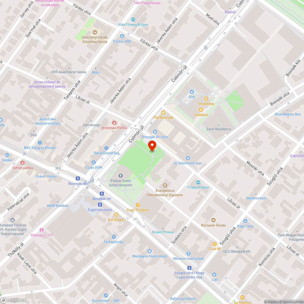 Kidőlt fa bejelentés helye