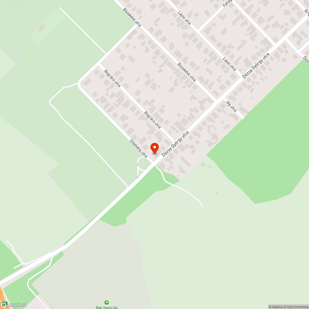 Balesetveszélyes letört faág bejelentés helye