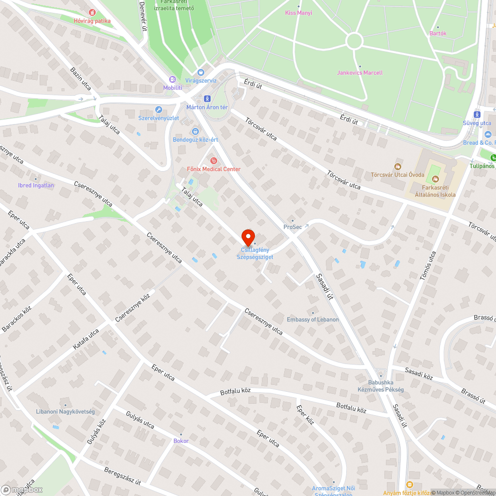 Itt hagyta valaki bejelentés helye