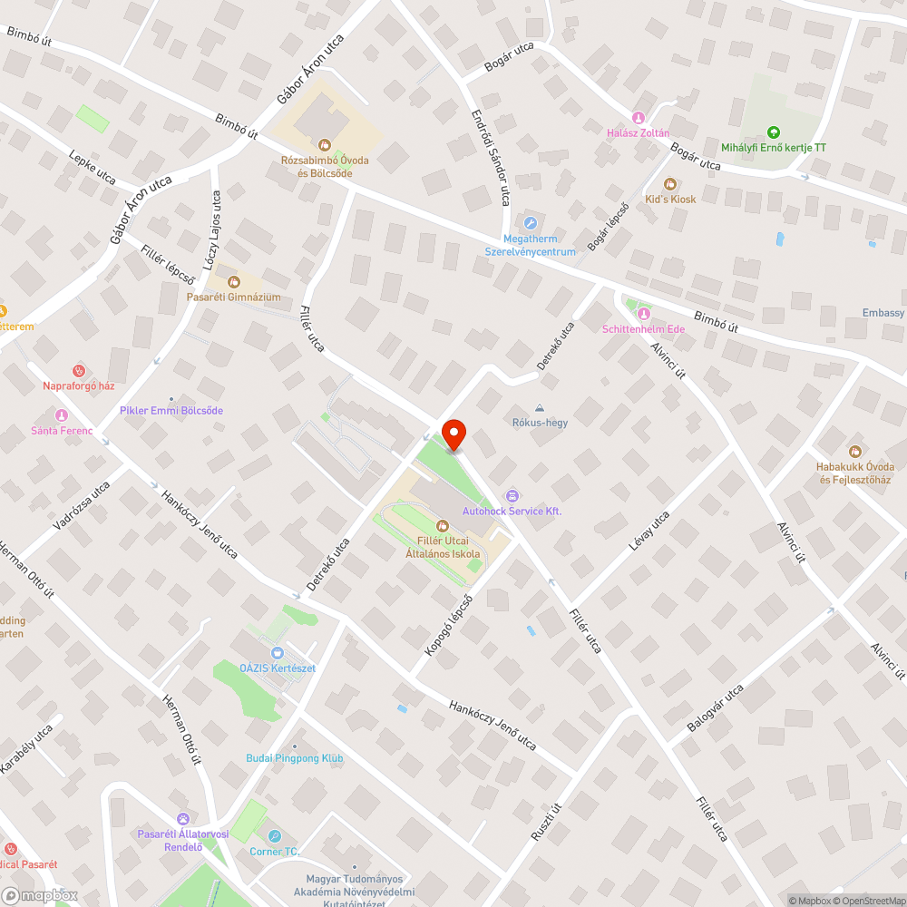 Fillér utcai Általános Iskola előtti toklászos parlagfüves lenyíratlan terület bejelentés helye