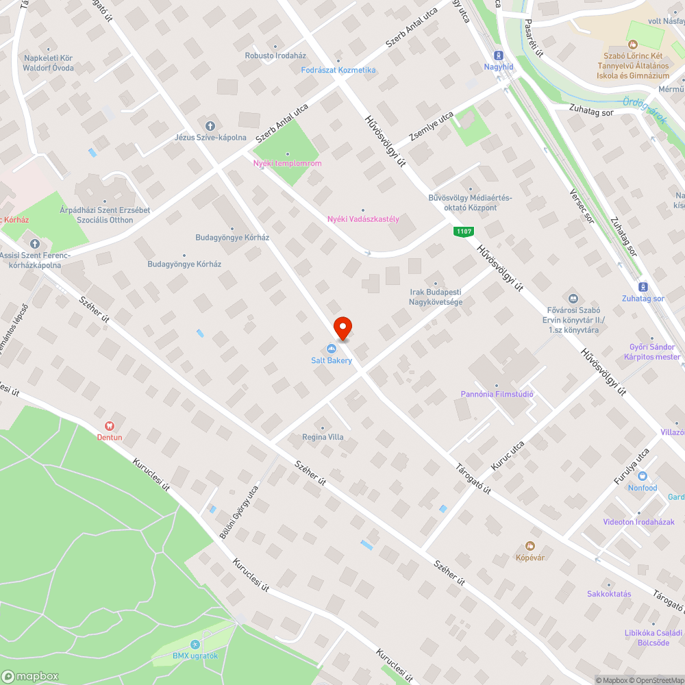 Járhatatlan, balesetveszélyes járdaszakasz bejelentés helye