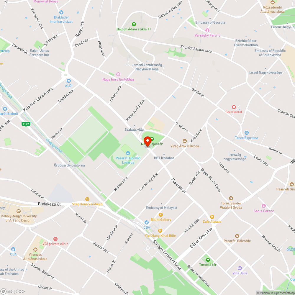 Járdára belógó 8 centis akác(?) Tüskék bejelentés helye